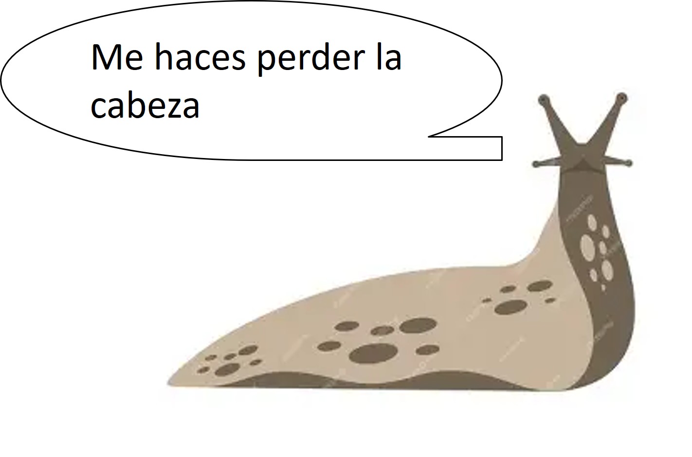 El animal que puede hacer fotosíntesis… y sobrevivir sin cabeza